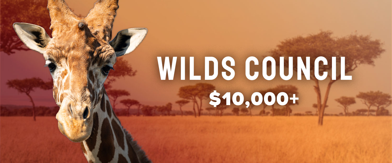 Wilds Council graphic